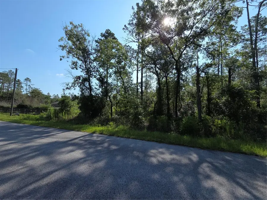 Lot 37 SW Hunter Hill Avenue, Dunnellon, FL 34431 - #2