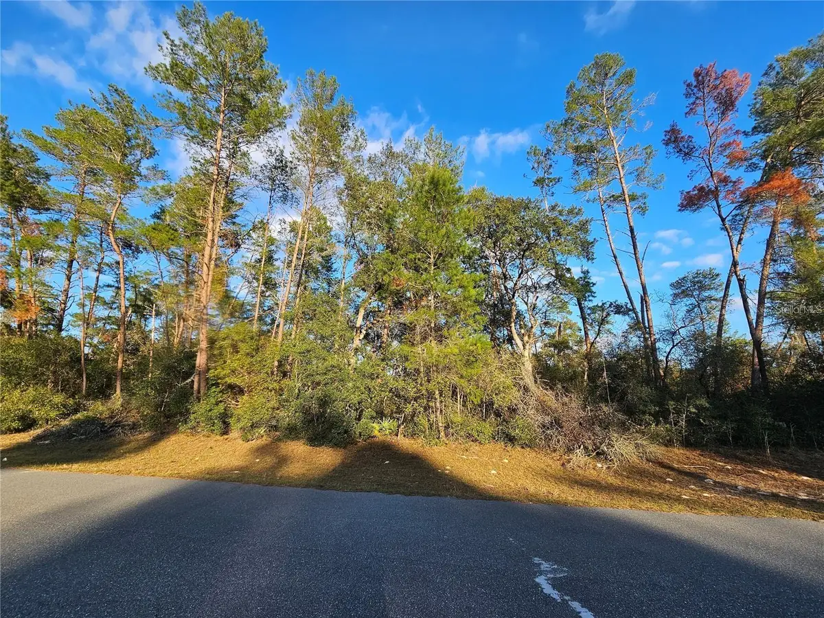 0 SW 33rd Terrace, Ocala, FL 34473 - #1