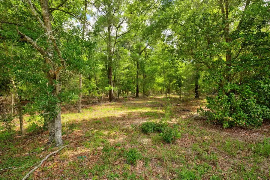 3450 NE 48th Avenue, High Springs, FL 32643 - #2