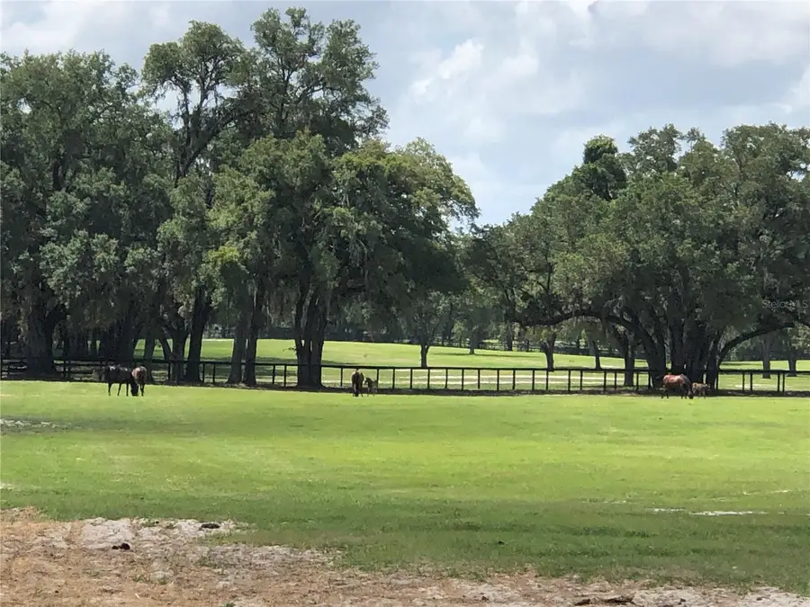00 SE 30th Street, Morriston, FL 32668 - #2