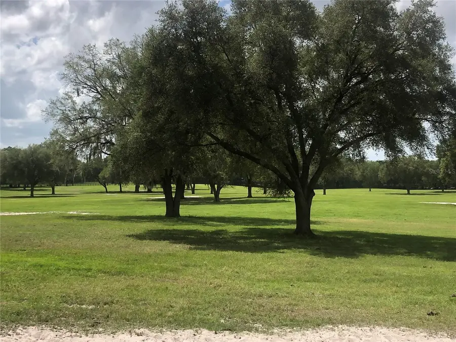 00 SE 30th Street, Morriston, FL 32668 - #3