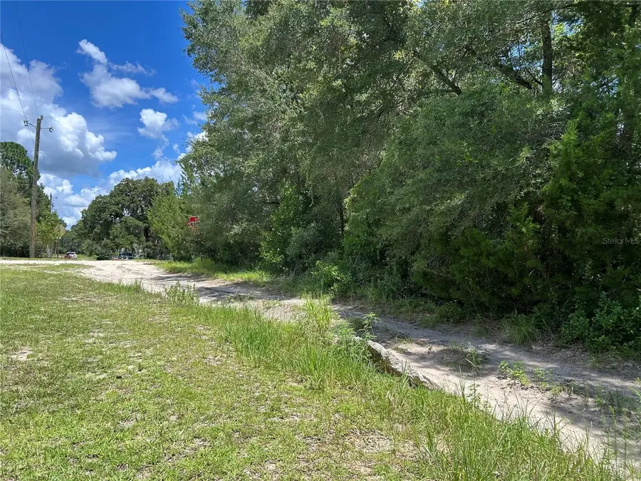 0000 NE 157th Terrace, Williston, FL 32696 - #3