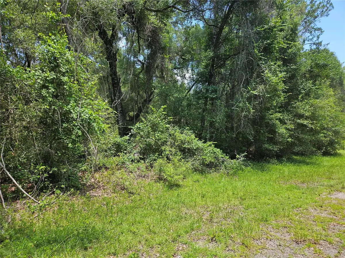1582 Derby Dr., Dunnellon, FL 34434 - #1