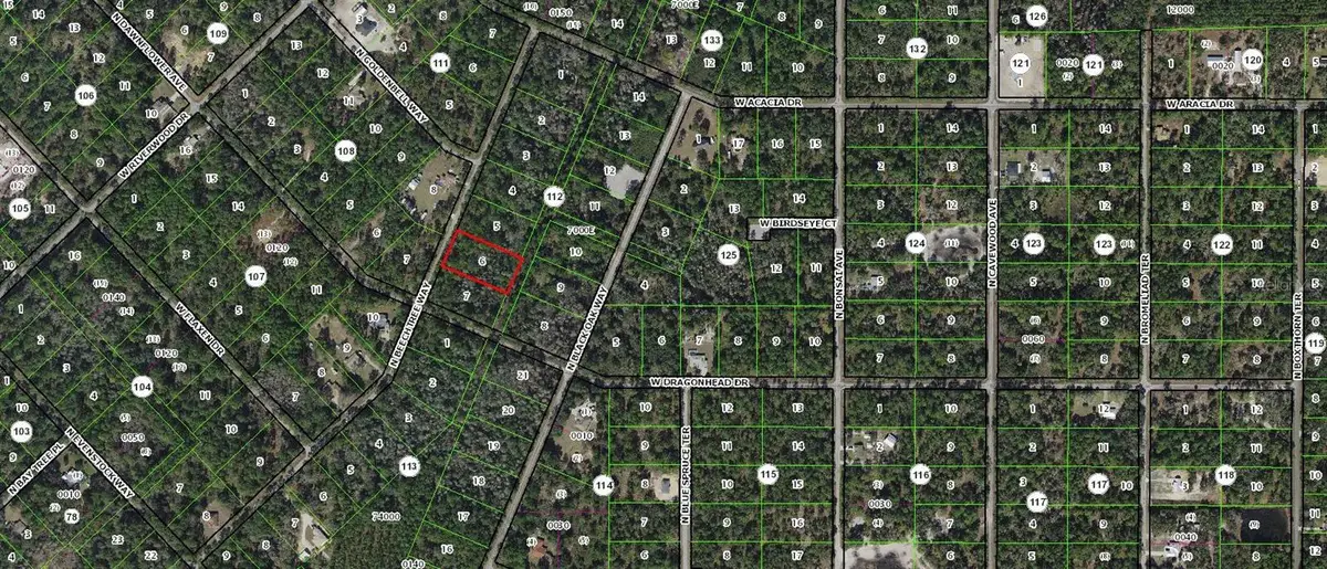 9345 N Beechtree Way, Crystal River, FL 34428 - #1
