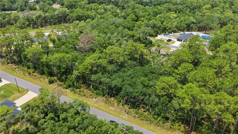 TBD Locust Terrace Trail #Lot 12, Ocala, FL 34472 - #2