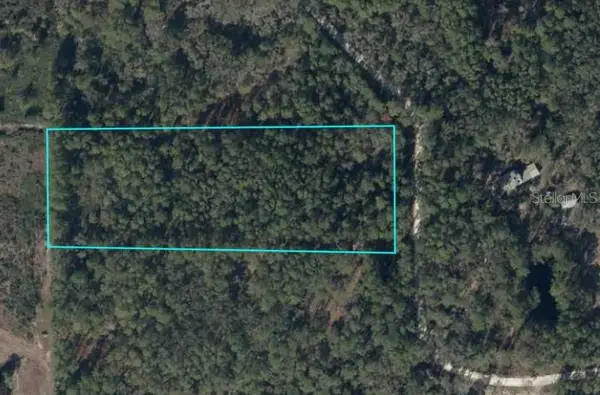 TBD SE 91st Trail, TRENTON, FL 32693
