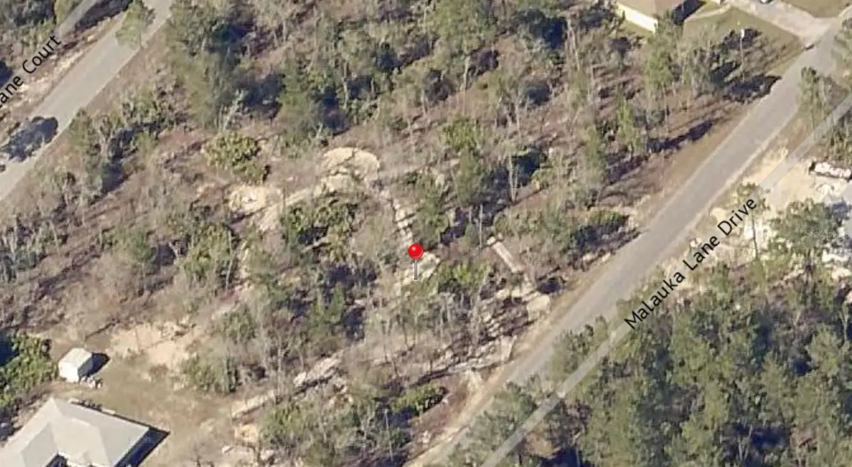 00 Malauka Trail Drive, Ocklawaha, FL 32179 - #1