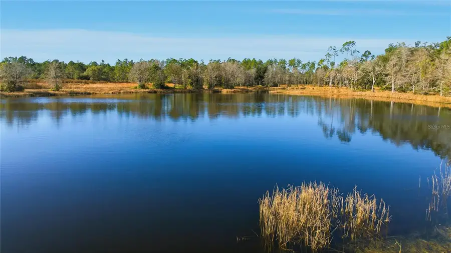 TBD (Lot 2) NE 115th Lane Road, Fort McCoy, FL 32134 - #2
