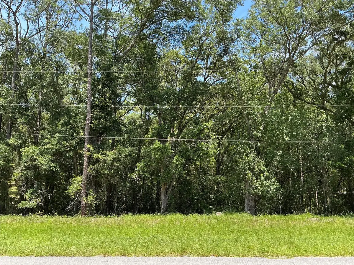 SW 102nd St Road, Dunnellon, FL 34431 - #1