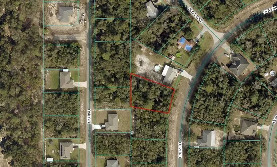 Olive Road, Ocala, FL 34472 - #2