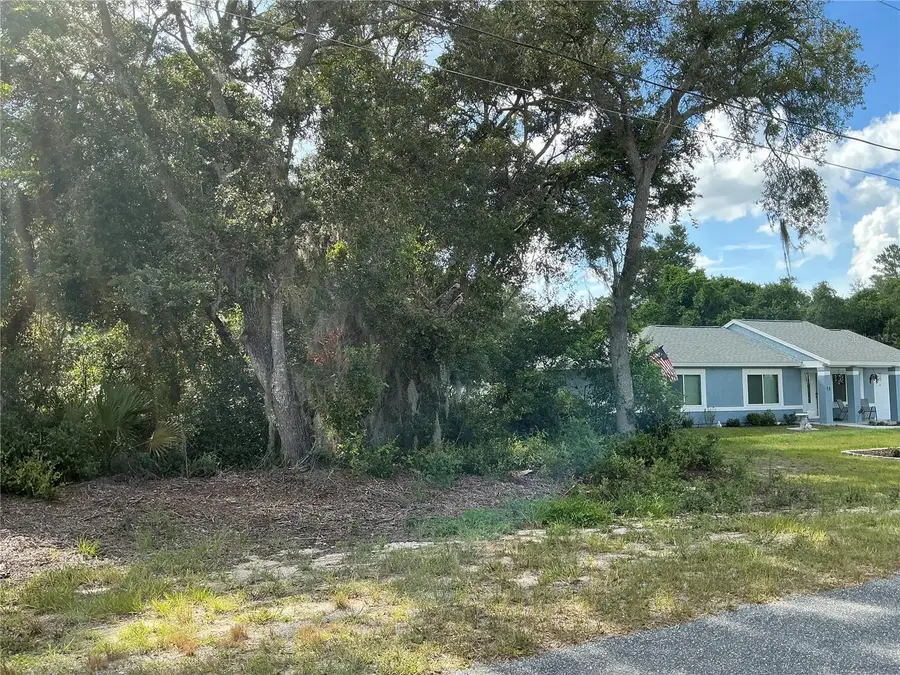 Olive Road, Ocala, FL 34472 - #3