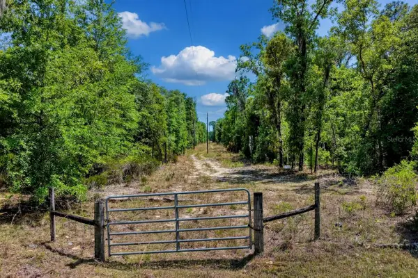 TBD NE 75th Street, WILLISTON, FL 32696