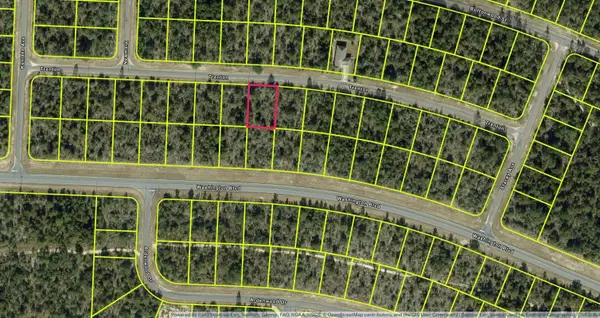 Lot 9, Unit 7, Blk 458 Trenton Street, CHIPLEY, FL 32428