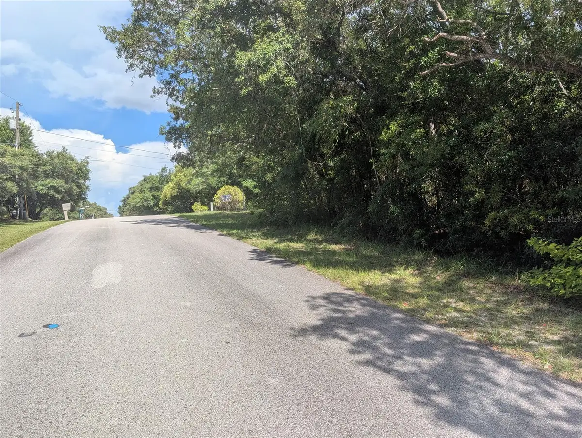 1180 E Cleveland Street, Hernando, FL 34442 - #1