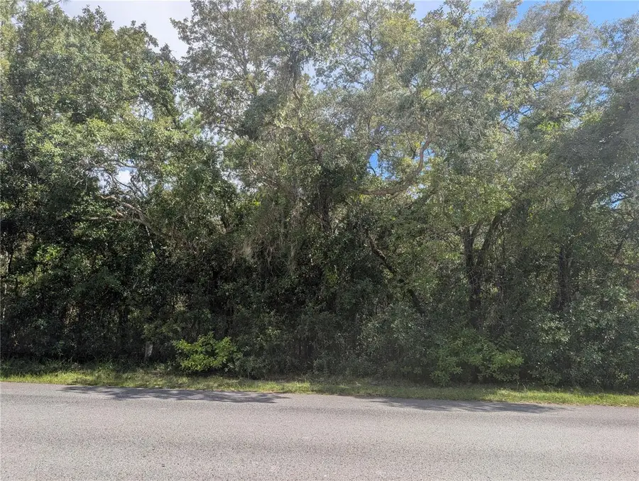 1180 E Cleveland Street, Hernando, FL 34442 - #3