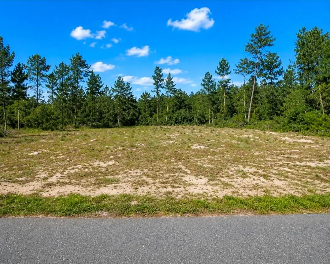 TBD SW 20th Court Road, Ocala, FL 34473 - #1