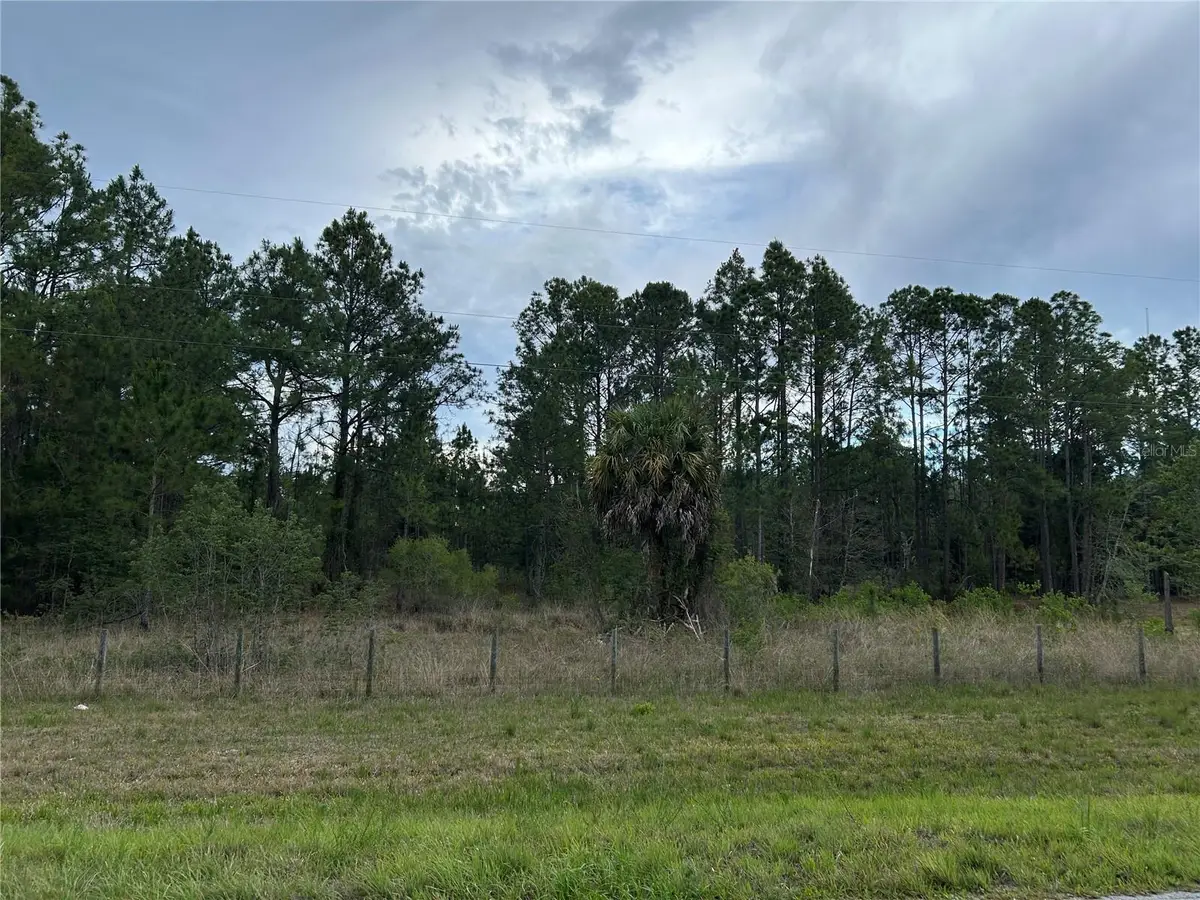0000 SE 60th Avenue, Morriston, FL 32668 - #1