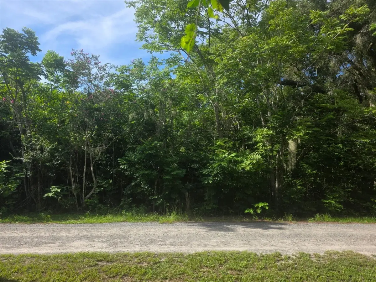 6601 SE 119th Street, Belleview, FL 34420 - #1