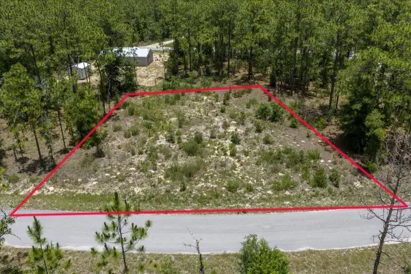 NE 4th Lane, WILLISTON, FL 32696