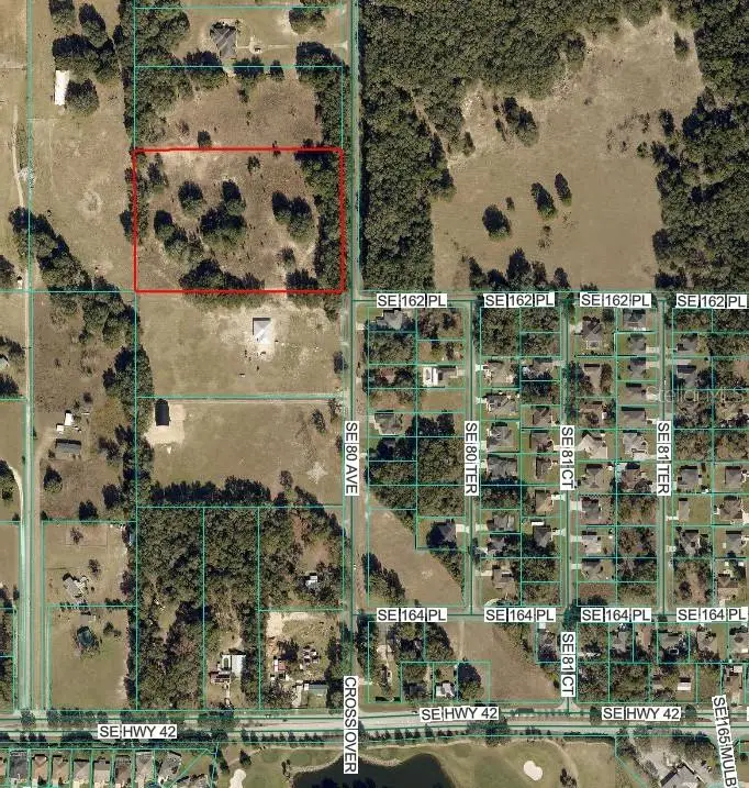 TBD SE 80th Avenue, Summerfield, FL 34491 - #3