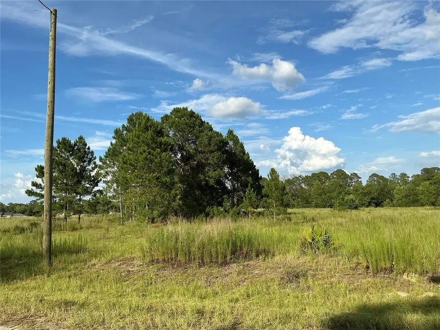 Maple Ln Way, Ocklawaha, FL 32179 - #3