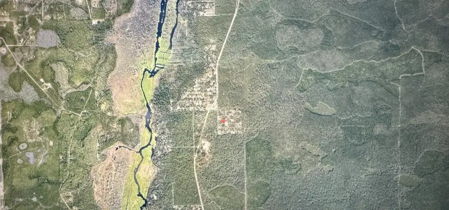 TBD NE 201st Place, Fort McCoy, FL 32134 - #2