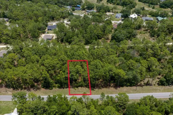150th Avenue, WILLISTON, FL 32696