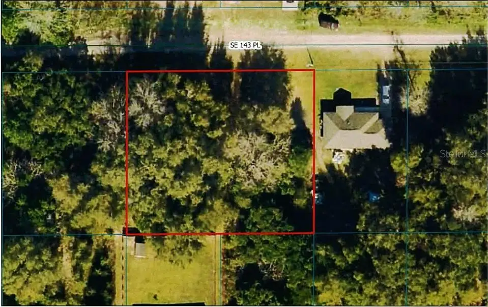 TBD SE 143rd Place, Summerfield, FL 34491 - #1