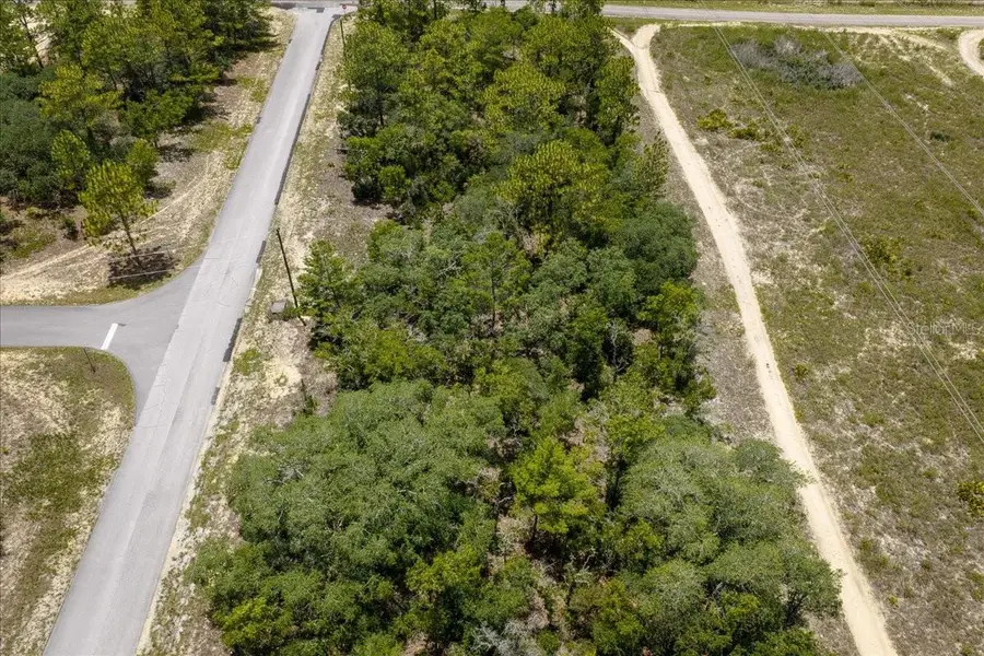 6830 N Sandborn Loop, Citrus Springs, FL 34433 - #2