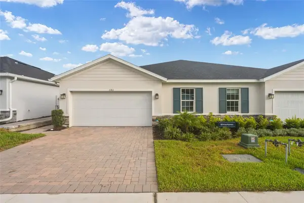 1183 Turtle Island Road, LADY LAKE, FL 32159