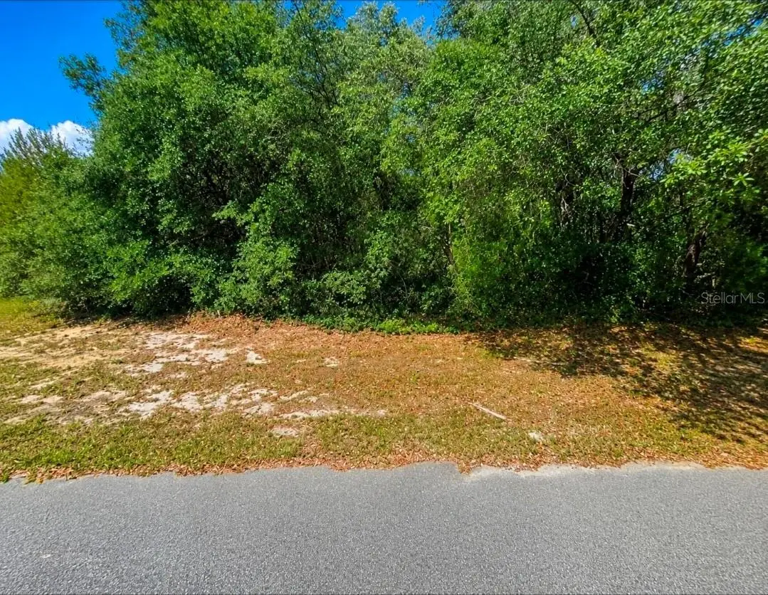 SW 164th Place Road, Ocala, FL 34473 - #1
