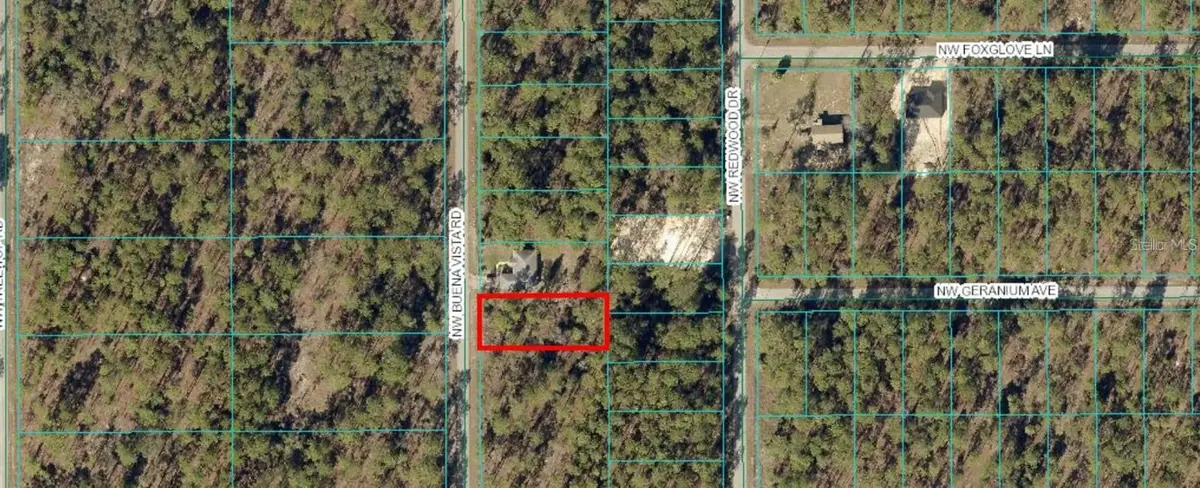 00 NW Buena Vista Rd, Dunnellon, FL 34431 - #1