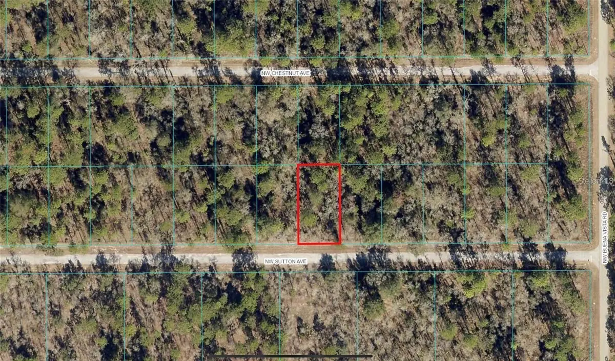 00 NW Sutton Avenue, Dunnellon, FL 34431 - #1