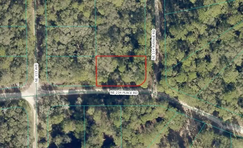 NE 234th Place, Fort McCoy Anthony, FL 32134 - #1