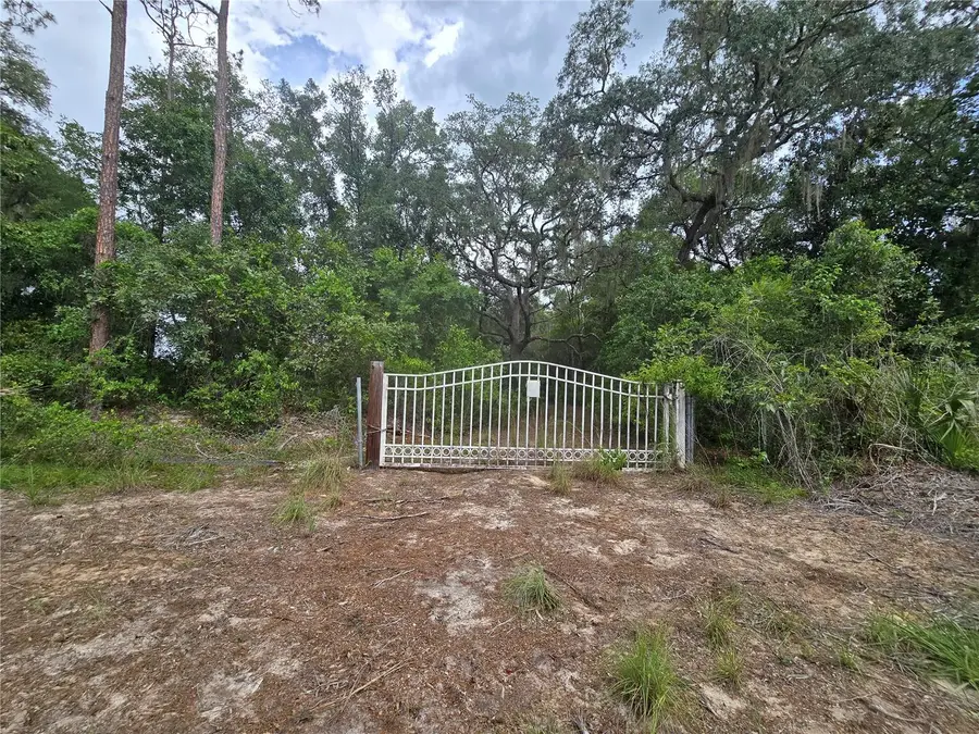 18545 SE 115th Street, Ocklawaha, FL 32179 - #3