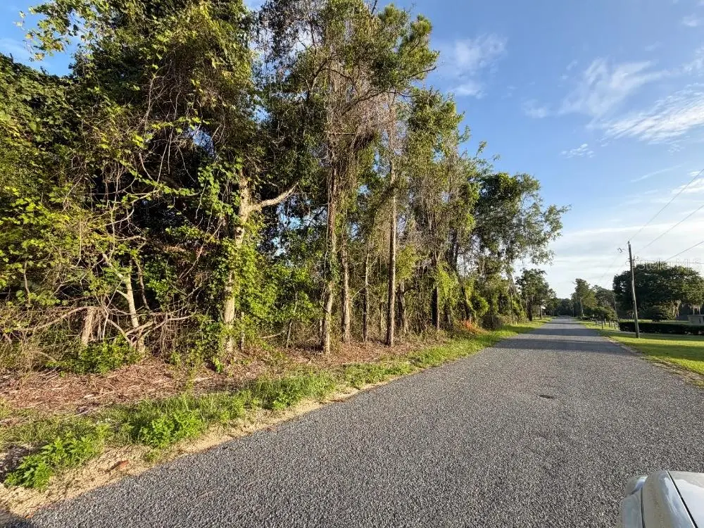 Ne 160th Ave, Williston, FL 32696 - #1