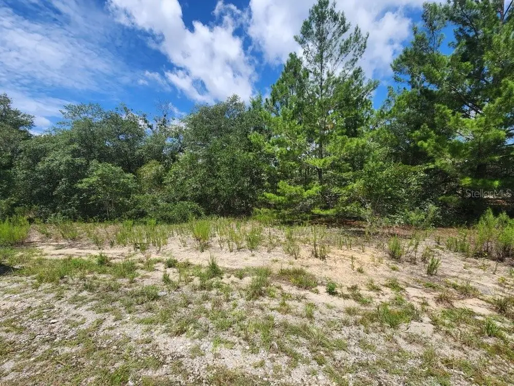 00 SW Gardenia Court, Dunnellon, FL 34432 - #1
