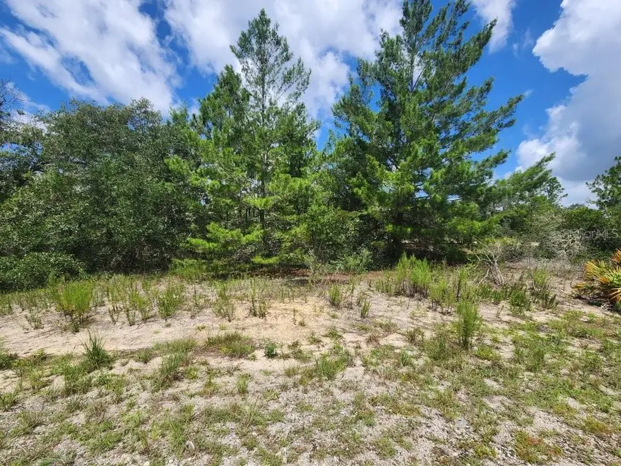 00 SW Gardenia Court, Dunnellon, FL 34432 - #2