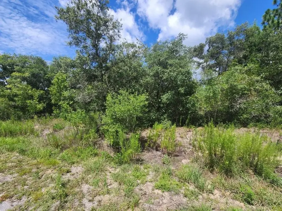 00 SW Gardenia Court, Dunnellon, FL 34432 - #3