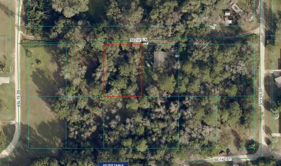 00 SE 141 Lane, Summerfield, FL 34491 - #2