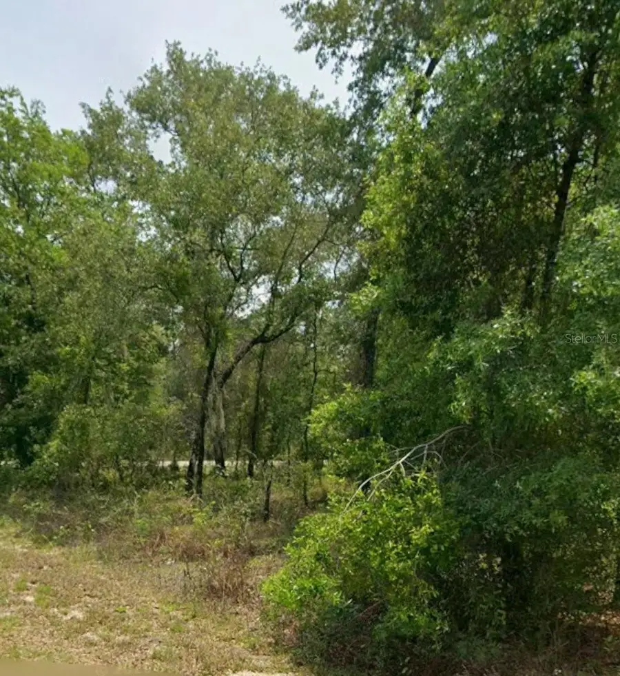 00 NW Highview Avenue, Dunnellon, FL 34431 - #2