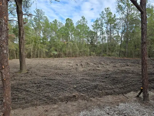 NE 127th Court, WILLISTON, FL 32696