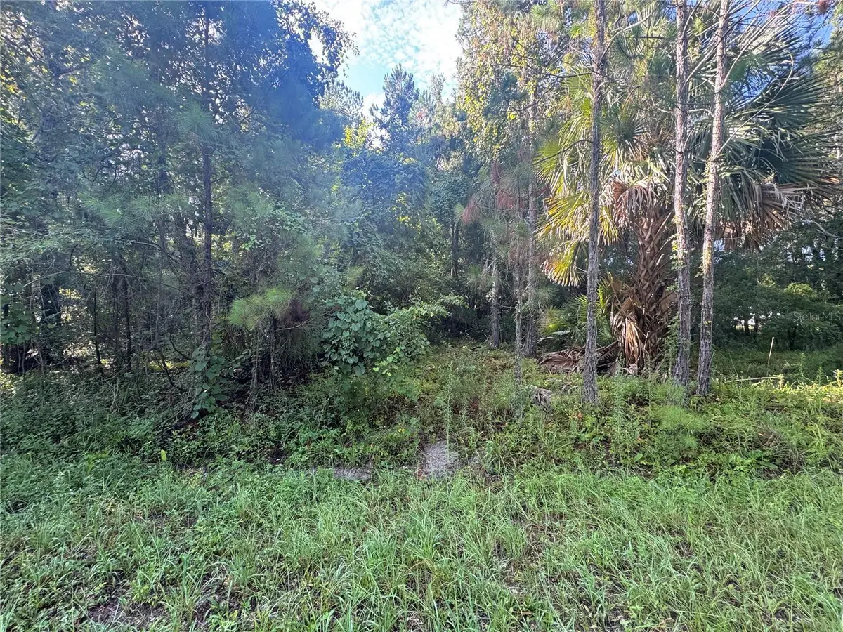 TBD Sequoia Loop Drive, Ocklawaha, FL 32179 - #1