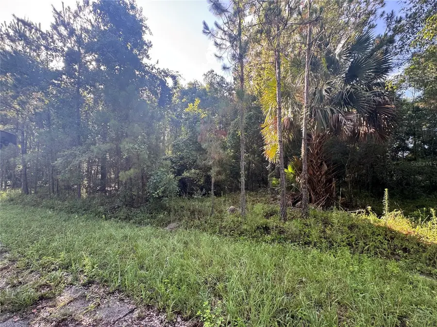 TBD Sequoia Loop Drive, Ocklawaha, FL 32179 - #2