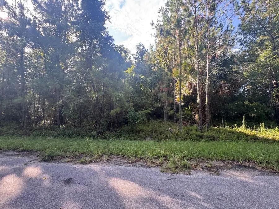 TBD Sequoia Loop Drive, Ocklawaha, FL 32179 - #3