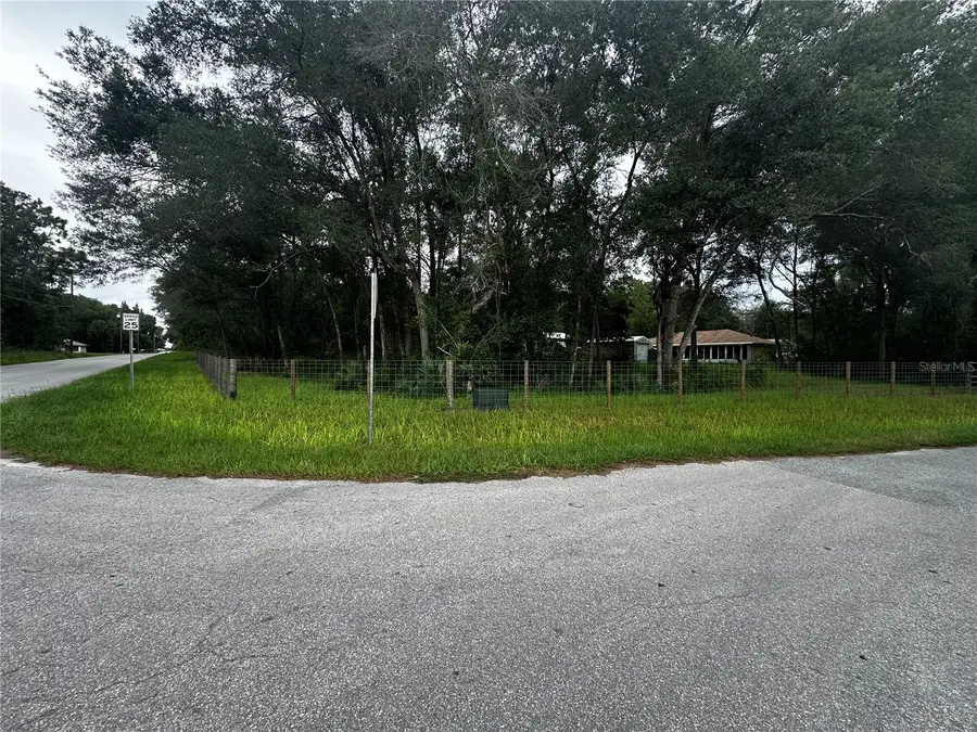 719 S Arlene Avenue, Inverness, FL 34453 - #3