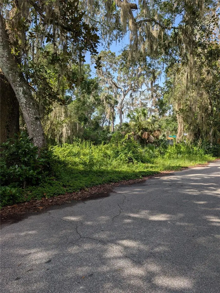 6650 N Beechnut Loop, Hernando, FL 34442 - #1