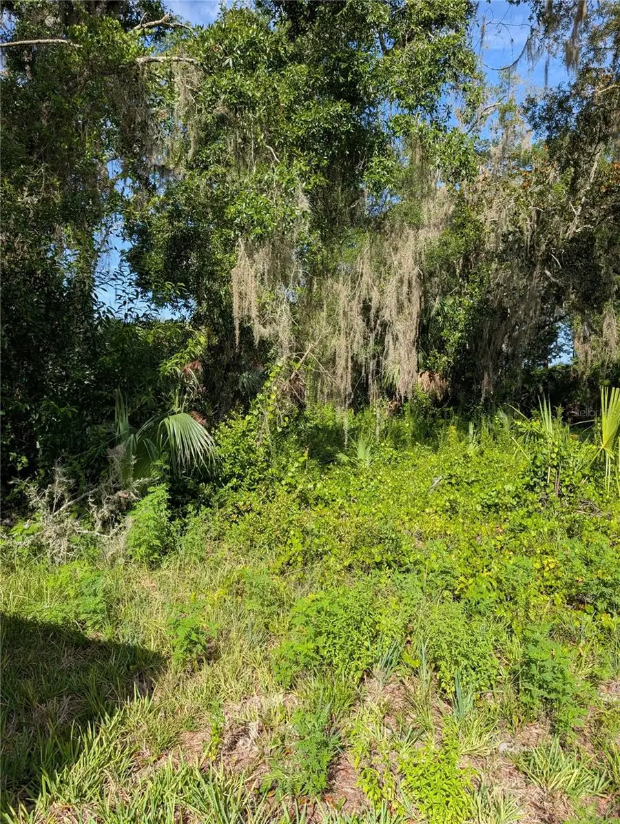 6650 N Beechnut Loop, Hernando, FL 34442 - #2