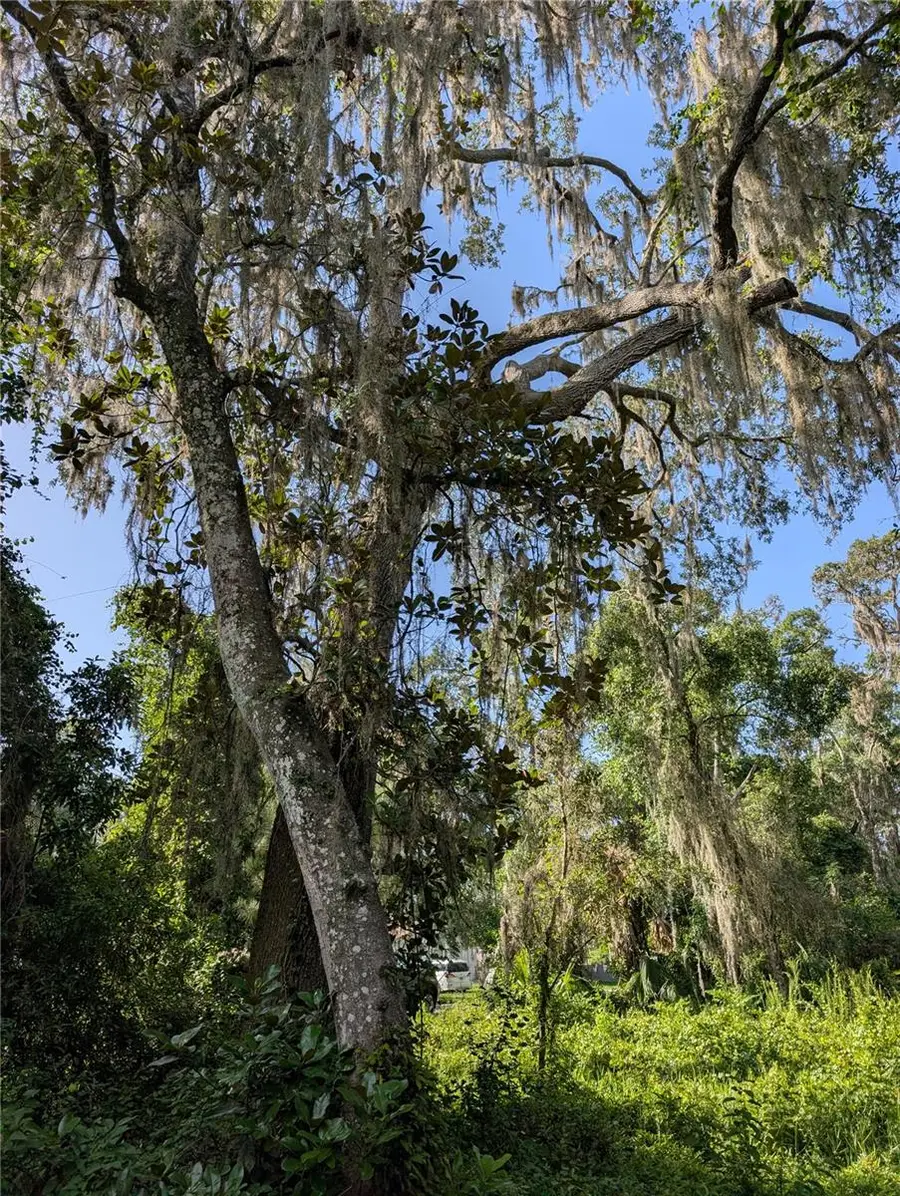 6650 N Beechnut Loop, Hernando, FL 34442 - #3
