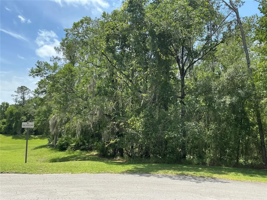 SW 90th Place, Dunnellon, FL 34431 - #3